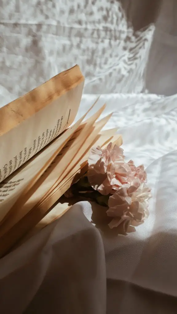 a book sitting outside on a blanket, reading a romance novel outside on a warm spring day