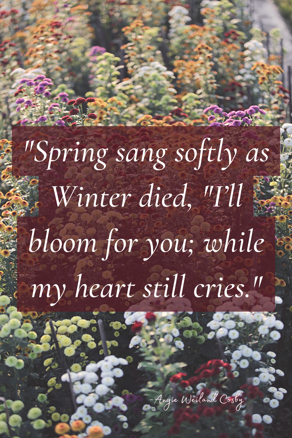 a beautiful spring poem