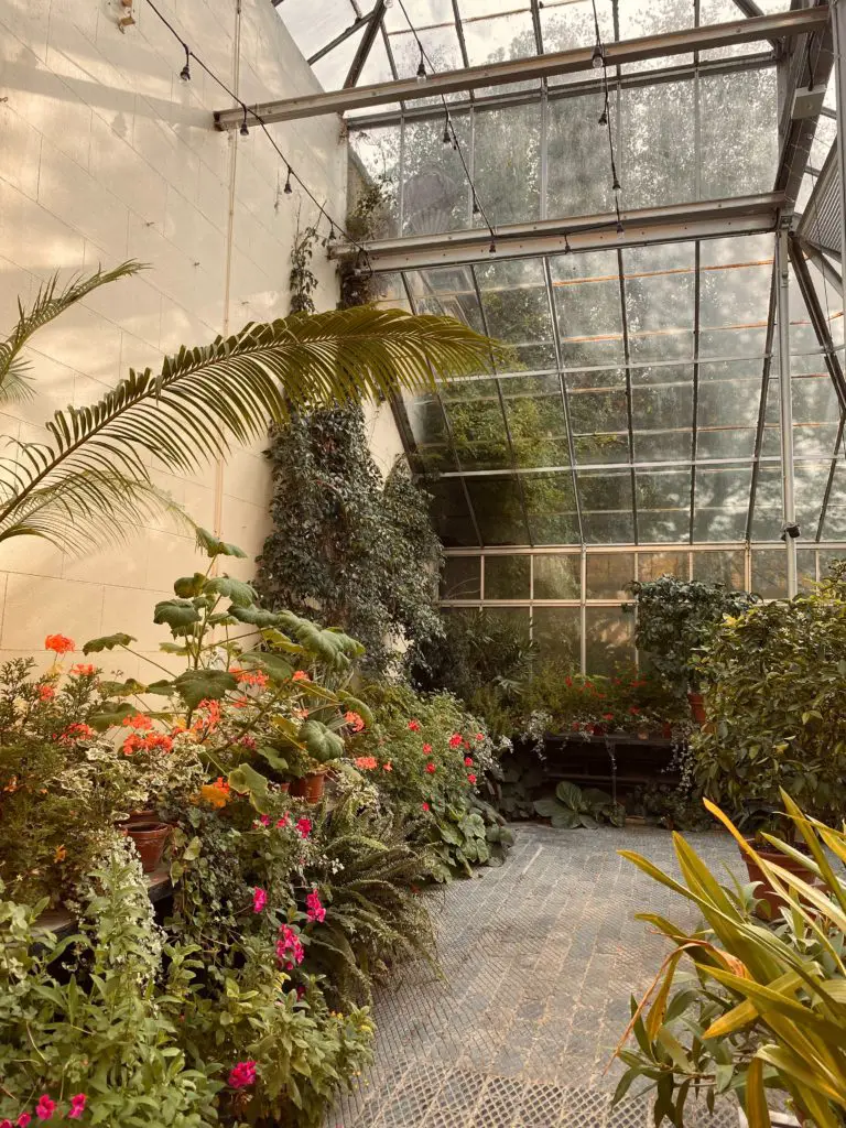 cottagecore spring greenhouse with lots of greenery and plants coming in through the windows