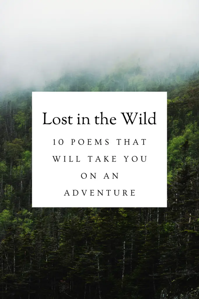 Lost In The Wild: 10 Poems That Will Take You On An Adventure, pinterest pin
