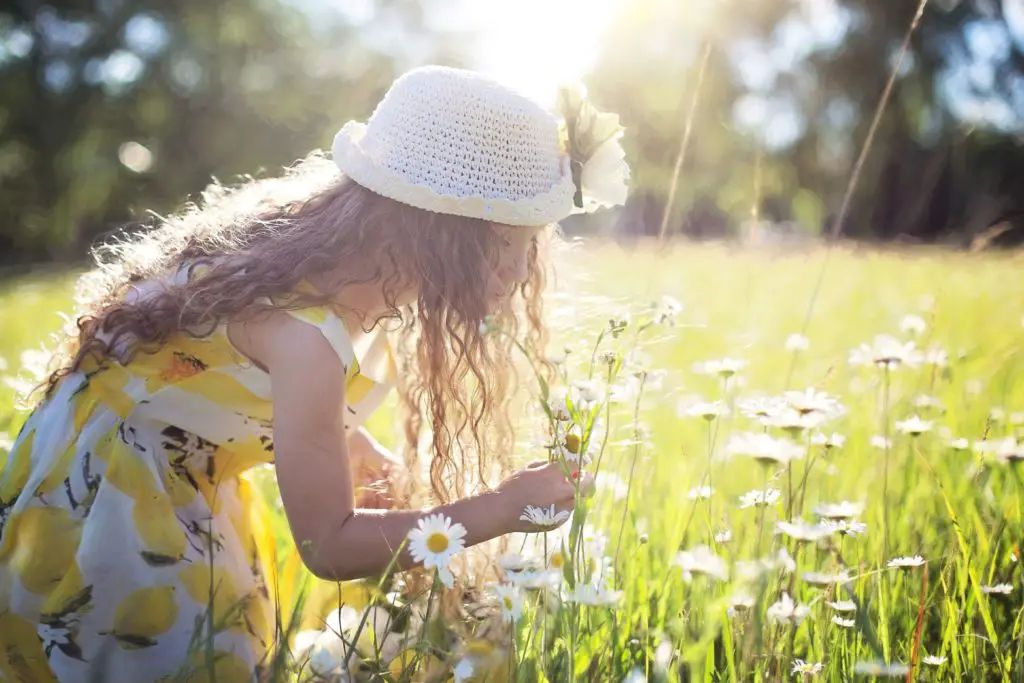 a little girl picks flowers in a field, enjoying the poetry and magic of summer