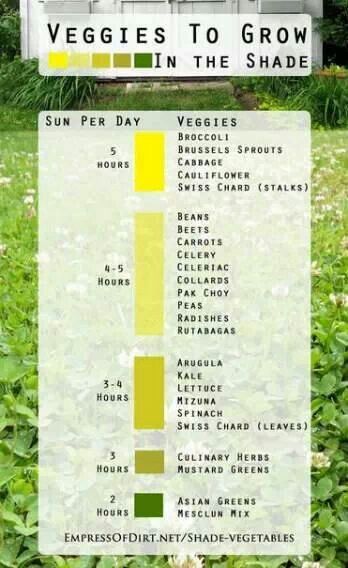 a chart showing which vegetables grow best in the shade