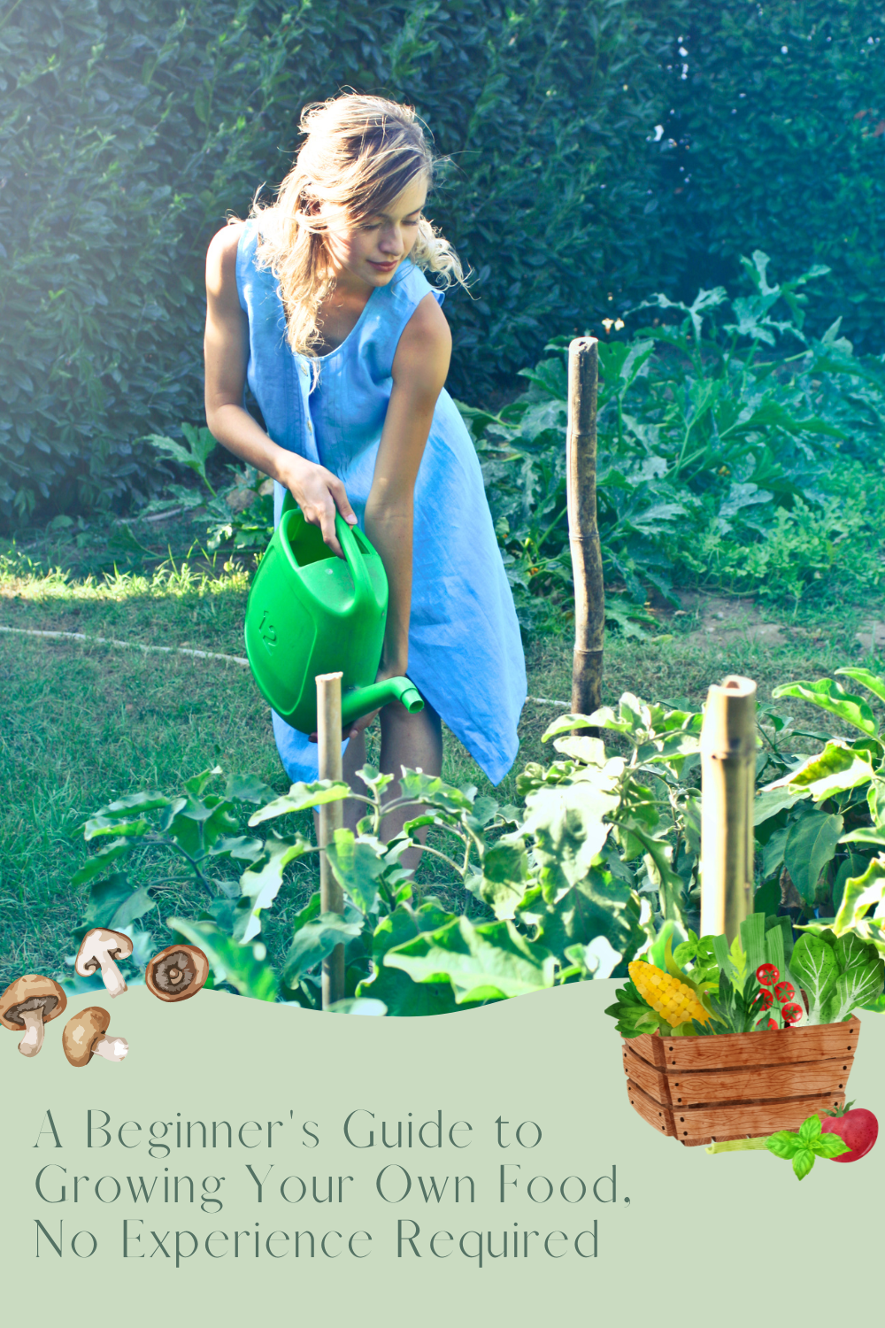 Growing Your Own Food: A Guide for Beginners and Busy People