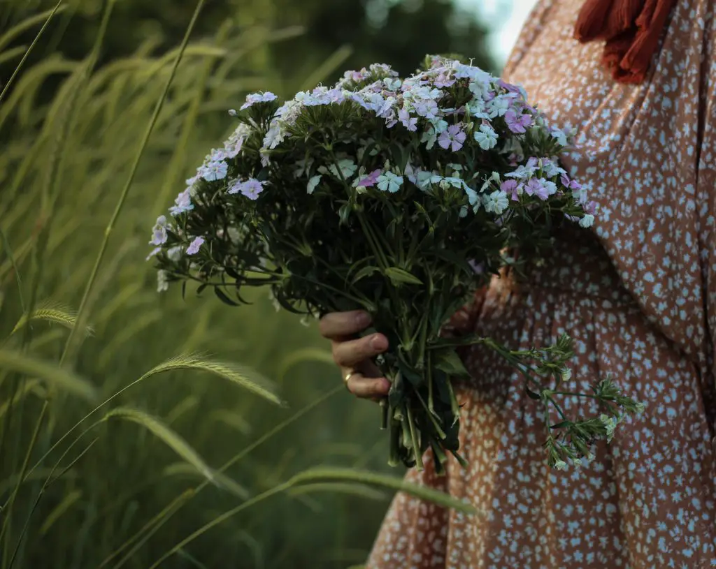 a beautiful wildflower bouquet that has just been picked.