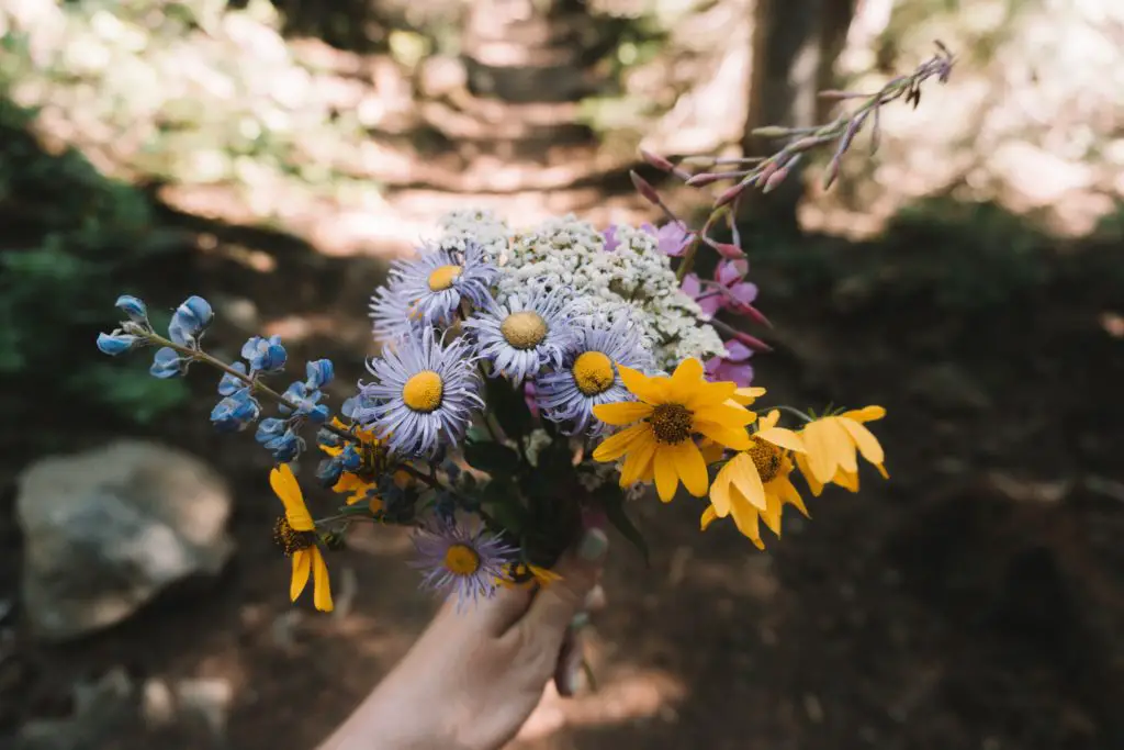 a beautifully crafter, foraged wildflower bouquet being held out for you to see.