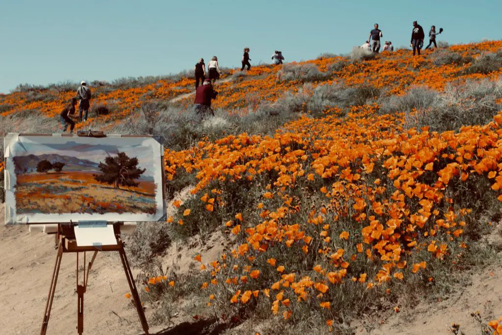 A photo showing the act of plein air painting on an autumn hillside