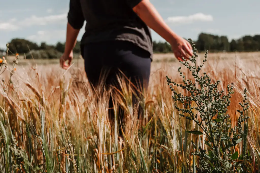 This is a photo of the author, Megan MacDonald, walking through a field. The photo is not flattering and goes to show how not caring about how you look or if your being cringey can you you be more present.