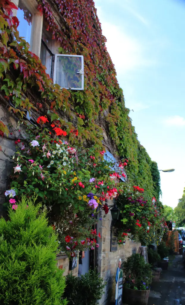 A photo of the side of an old english cottage in the Cotswolds overgrown with foliage and flowers, looking very cottagecore.