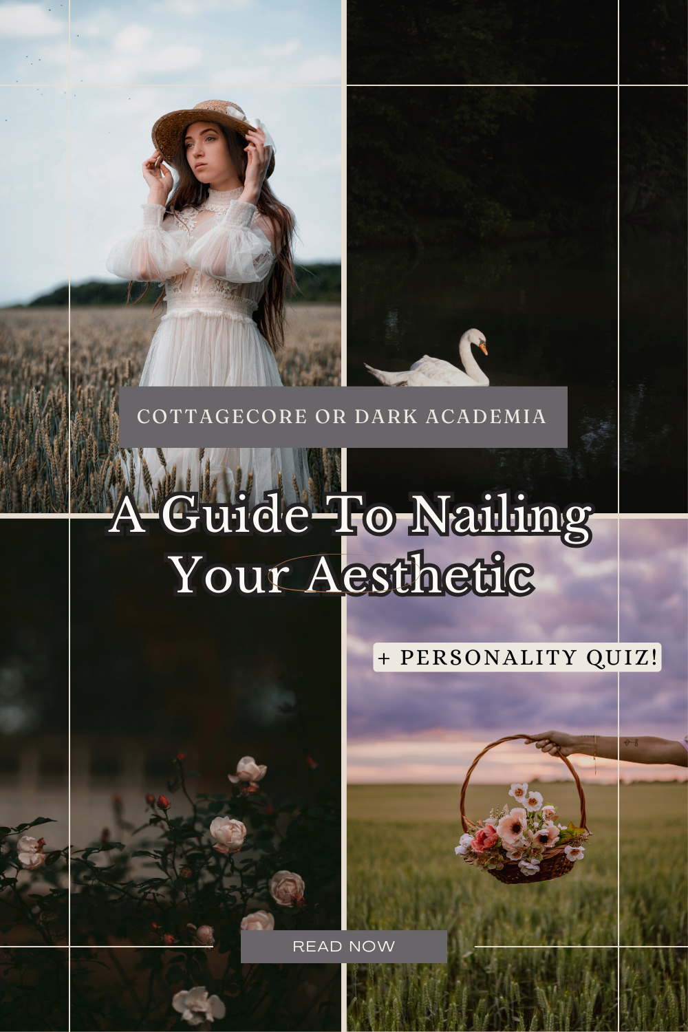 Cozy Cottagecore or Mysterious Dark Academia? A Guide to Nailing Your Aesthetic + Quiz