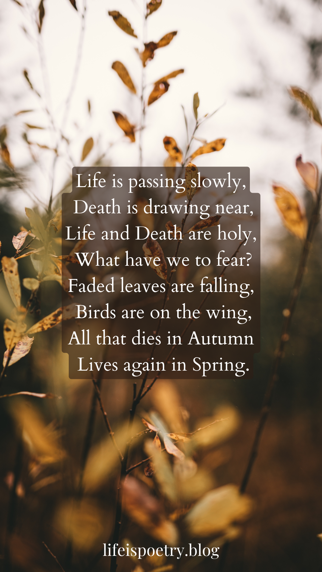 A Ballade Of Autumn by Mary E. Coleridge