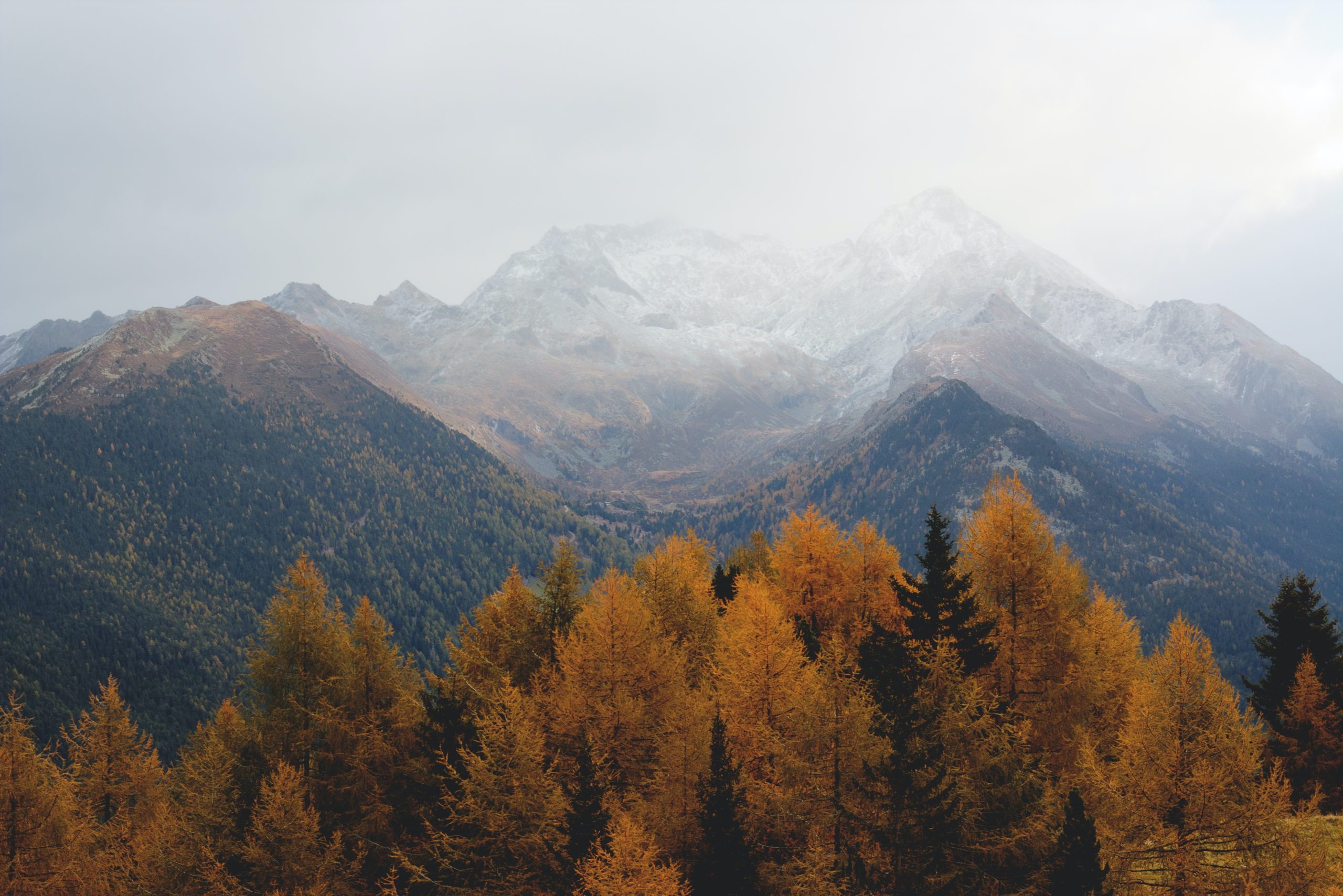 Aesthetically Pleasing Cottagecore Activities to Welcome Fall - Life Is ...