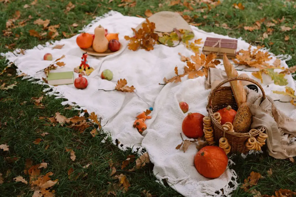 A quaint cottagecore style picnic amongst fallen leaves, featuring little pumpkins.