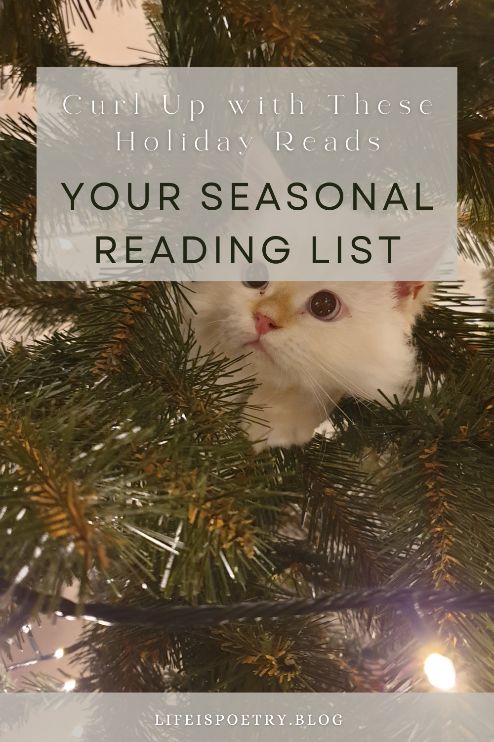 A Festive Reading List To Welcome The Holiday Season