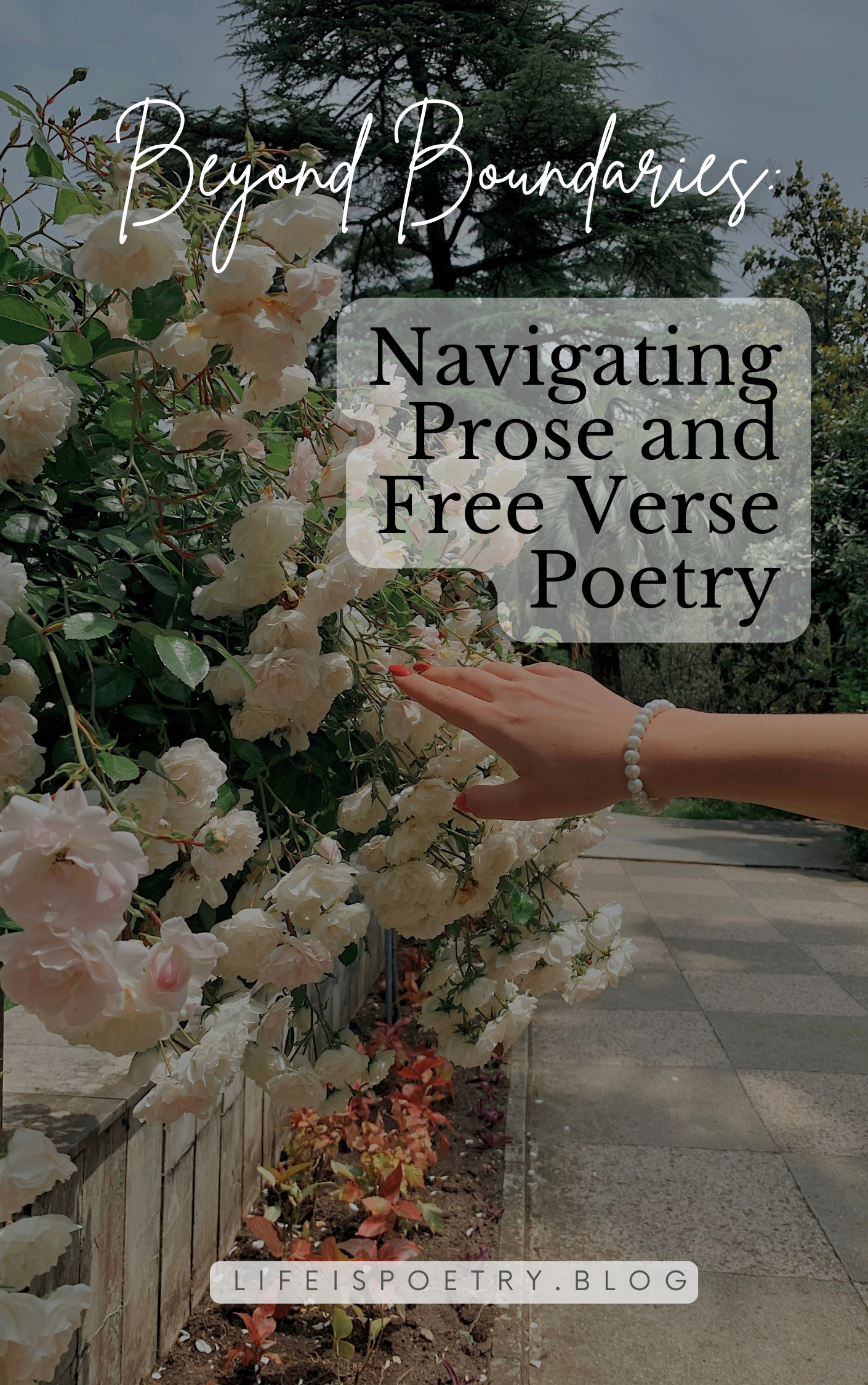 Understanding Free-Verse Poetry: Tips, Tricks, and Distinctions